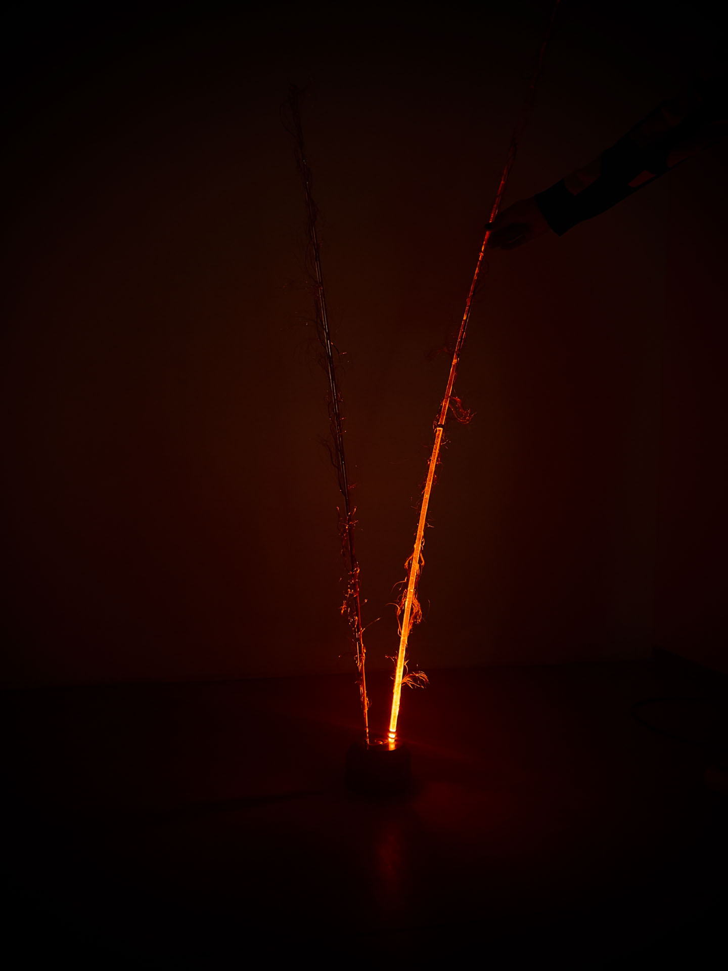 Synapse interactive installation by Antonín Kindl, Bratislava 2023