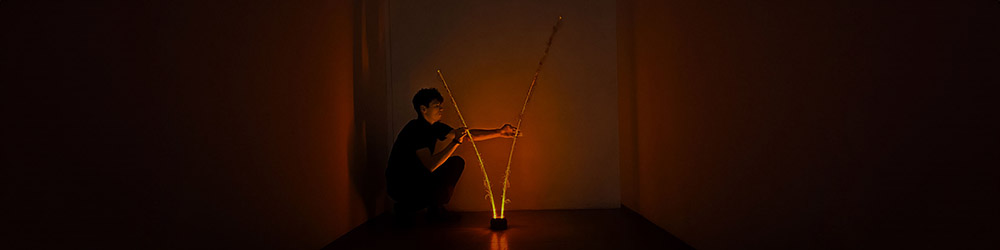 banner synapse.jpg