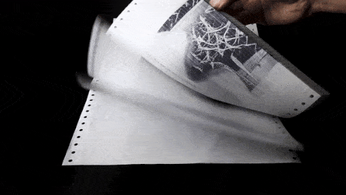fytopaleontologia-22.gif