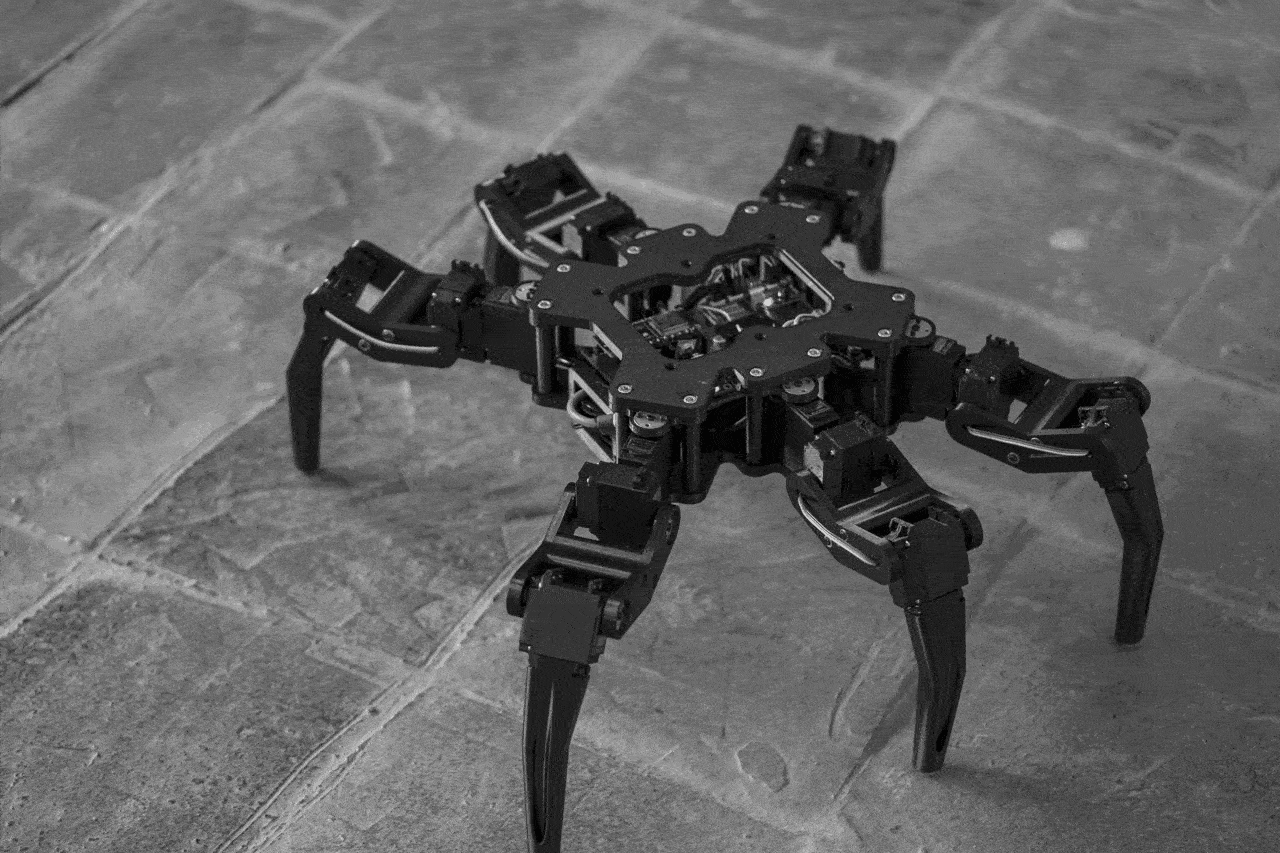 System electronic organism prototype walking