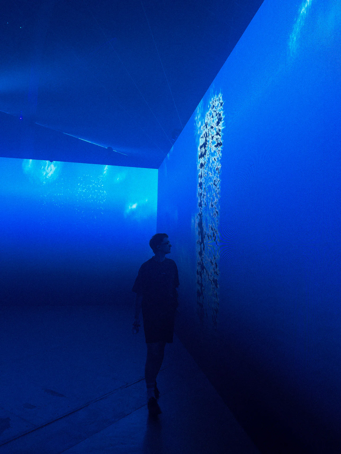 Exhibizz interactive installation, generative LED visuals, Bratislava 2025