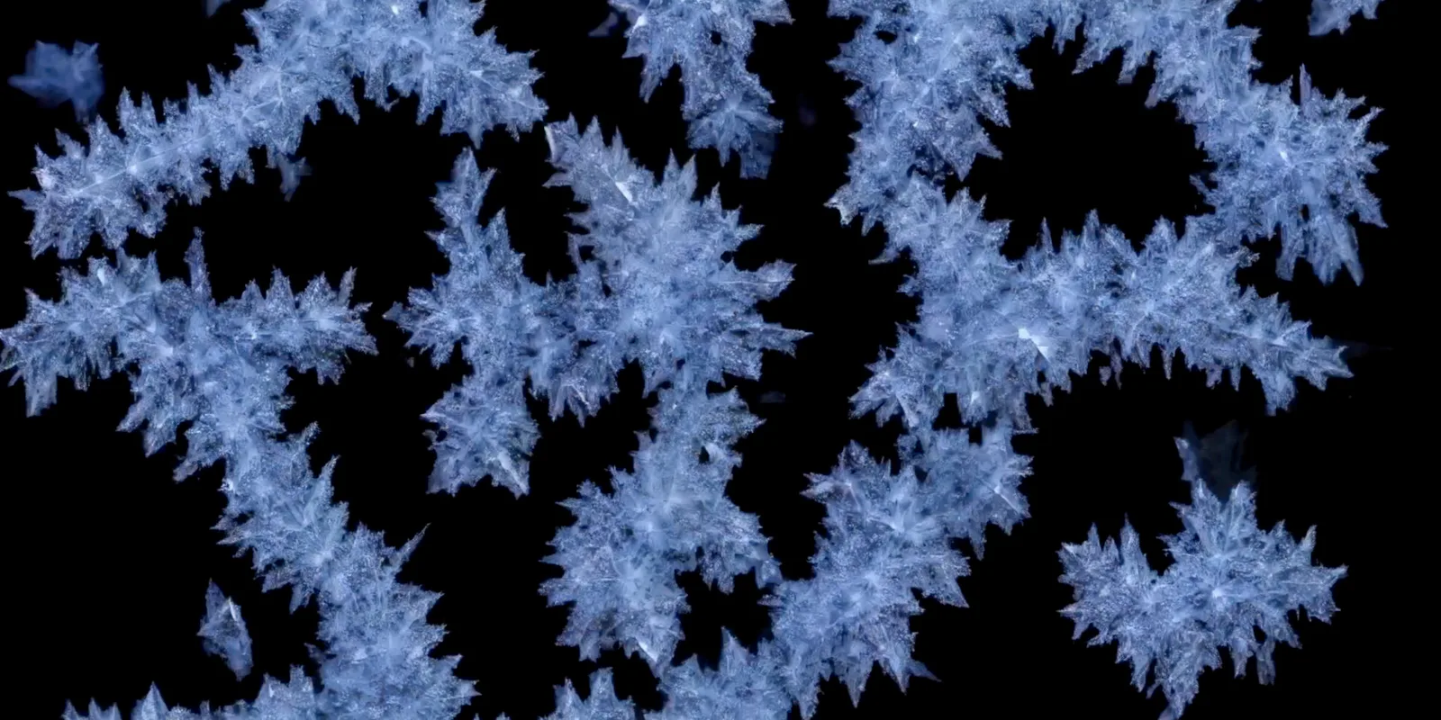 Chaos as seen by a machine, generative visual by Antonín Kindl 2025