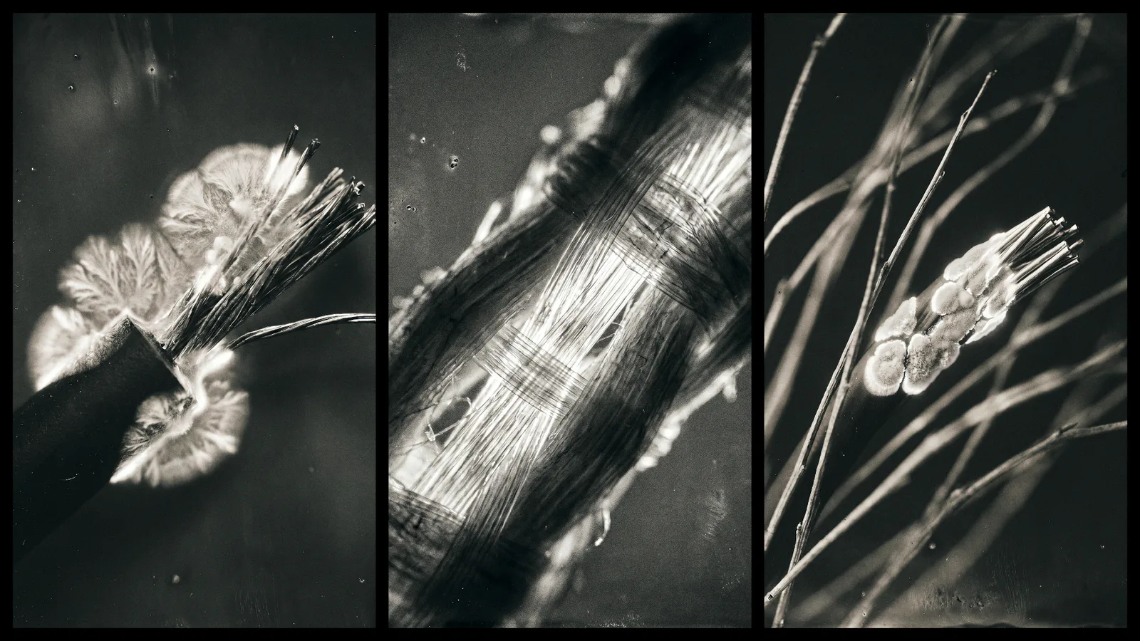 Synthetic_Archive_1.jpg