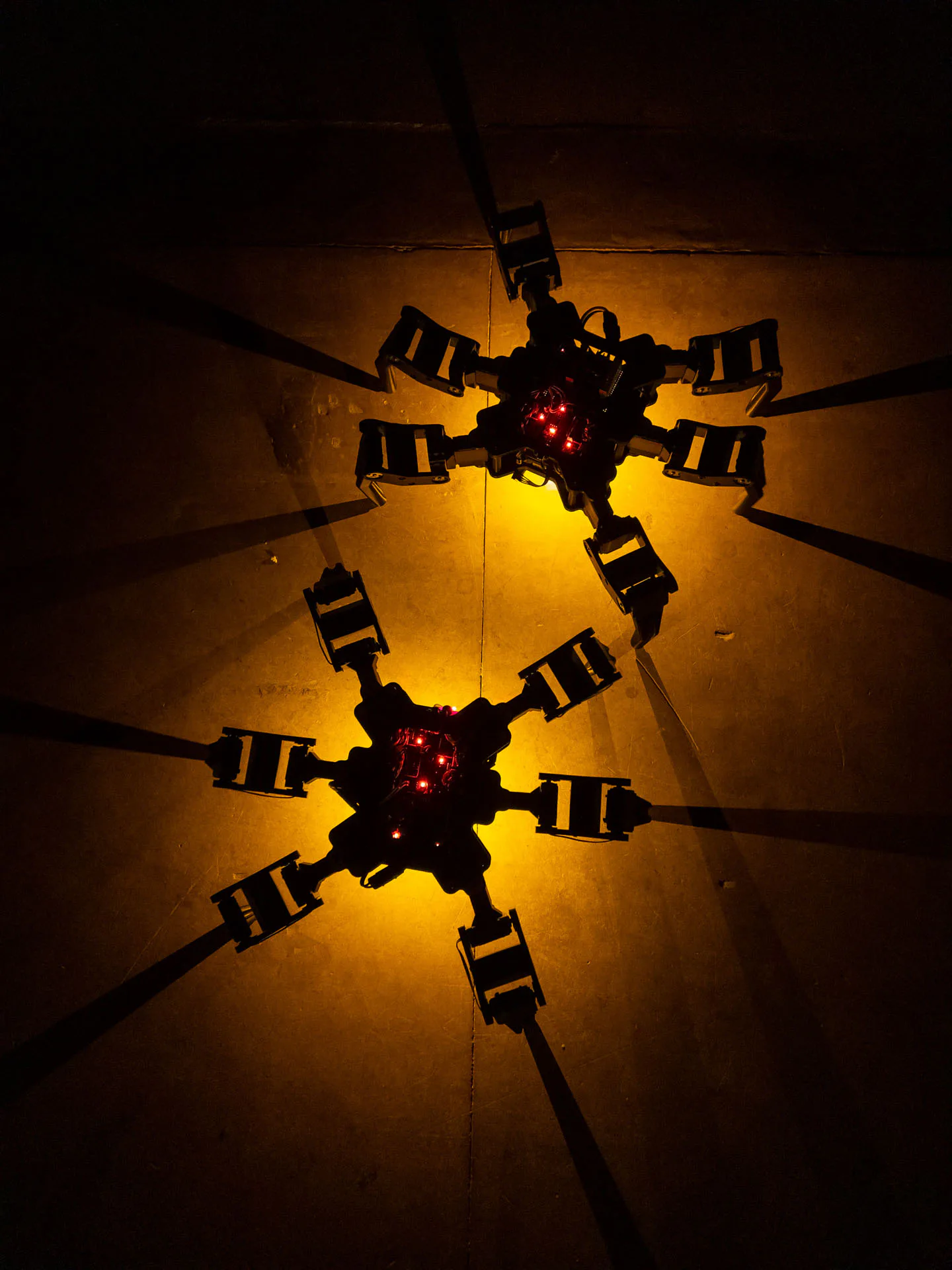 System: The Ascent of a New Kind by Antonín Kindl, electronic organisms installation, VŠVU MediaLab 2025
