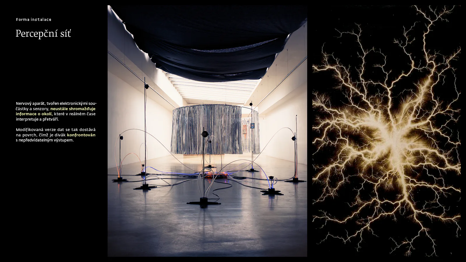 Receptor process and concept by Antonín Kindl