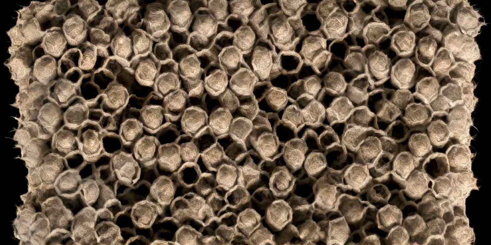 Chaos as seen by a machine, generative visual by Antonín Kindl 2025