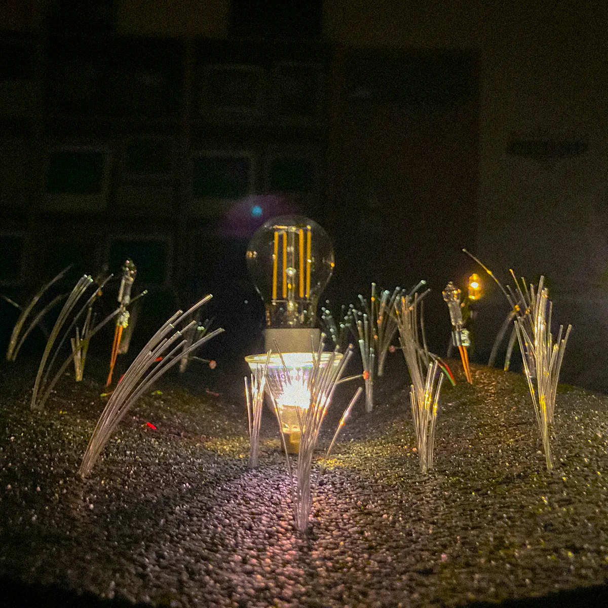 Semiophora-8.jpg
