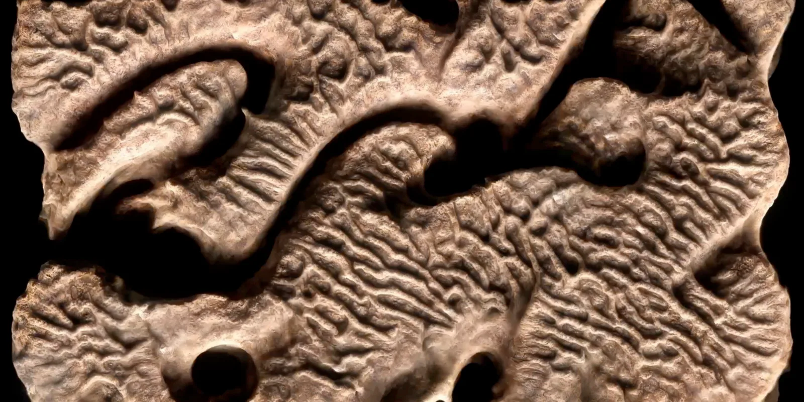 Chaos as seen by a machine, generative visual by Antonín Kindl 2025