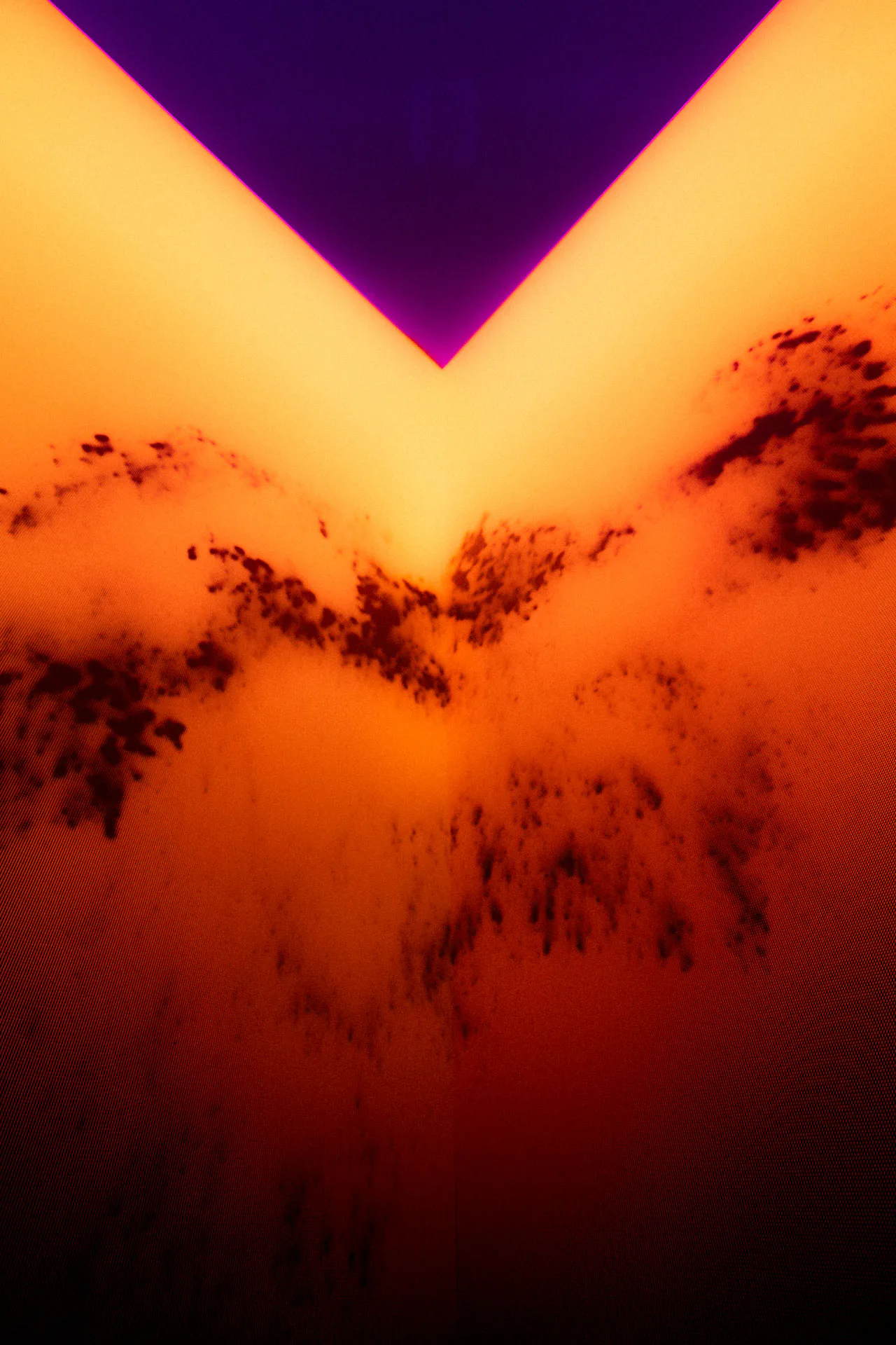 Exhibizz interactive installation, Bratislava 2025, photo Daniel Gavenda