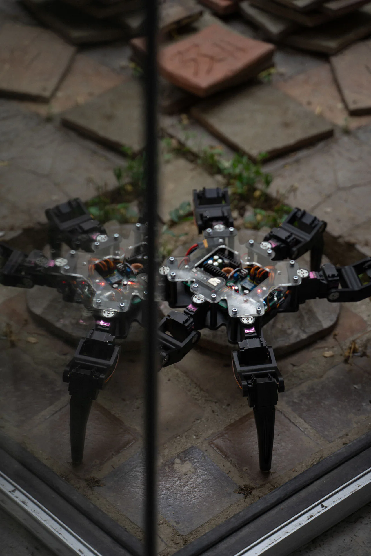System: The Ascent of a New Kind by Antonín Kindl, electronic organisms installation, VŠVU MediaLab 2025