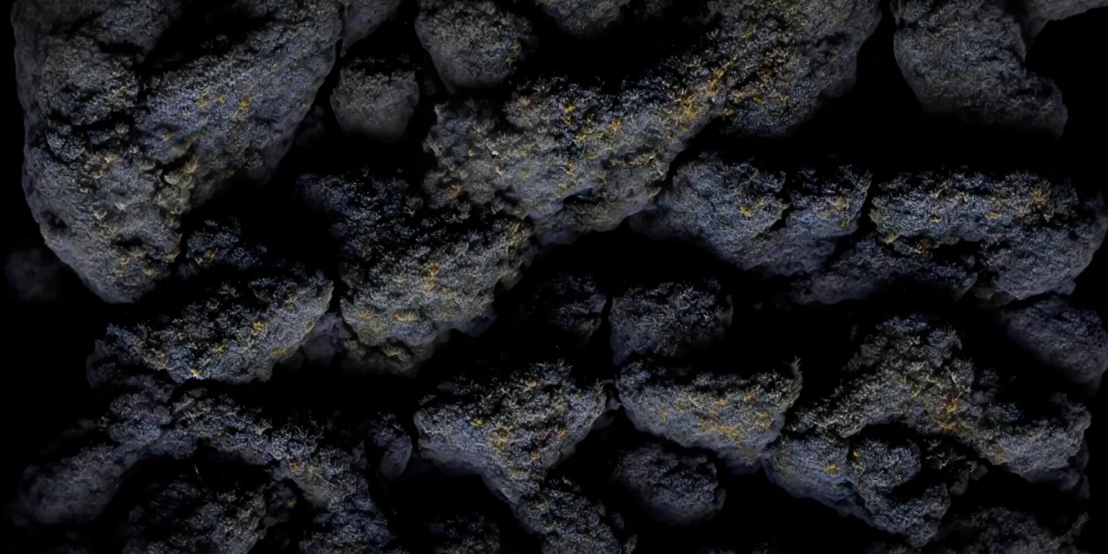 Chaos as seen by a machine, generative visual by Antonín Kindl 2025