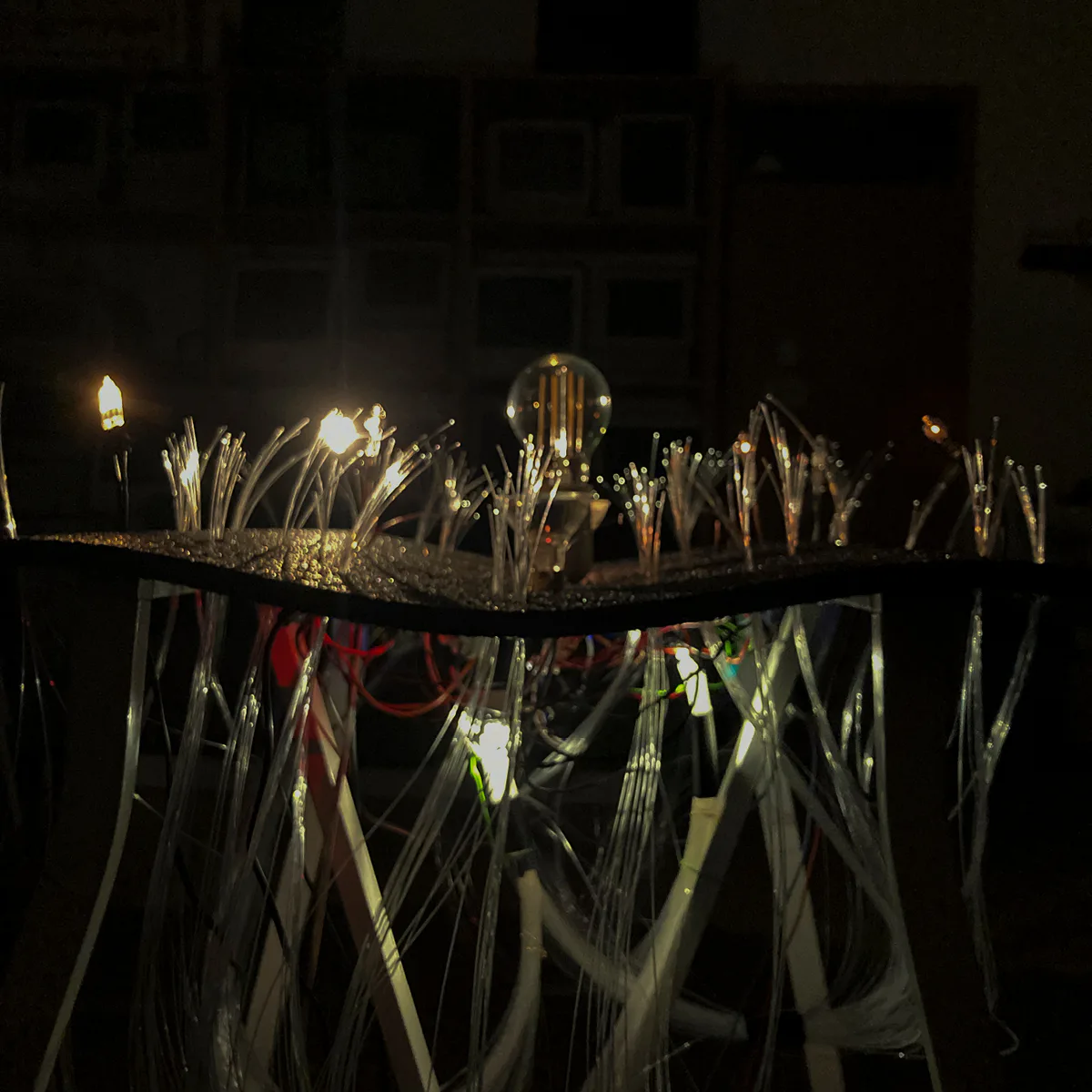 Semiophora-9.jpg