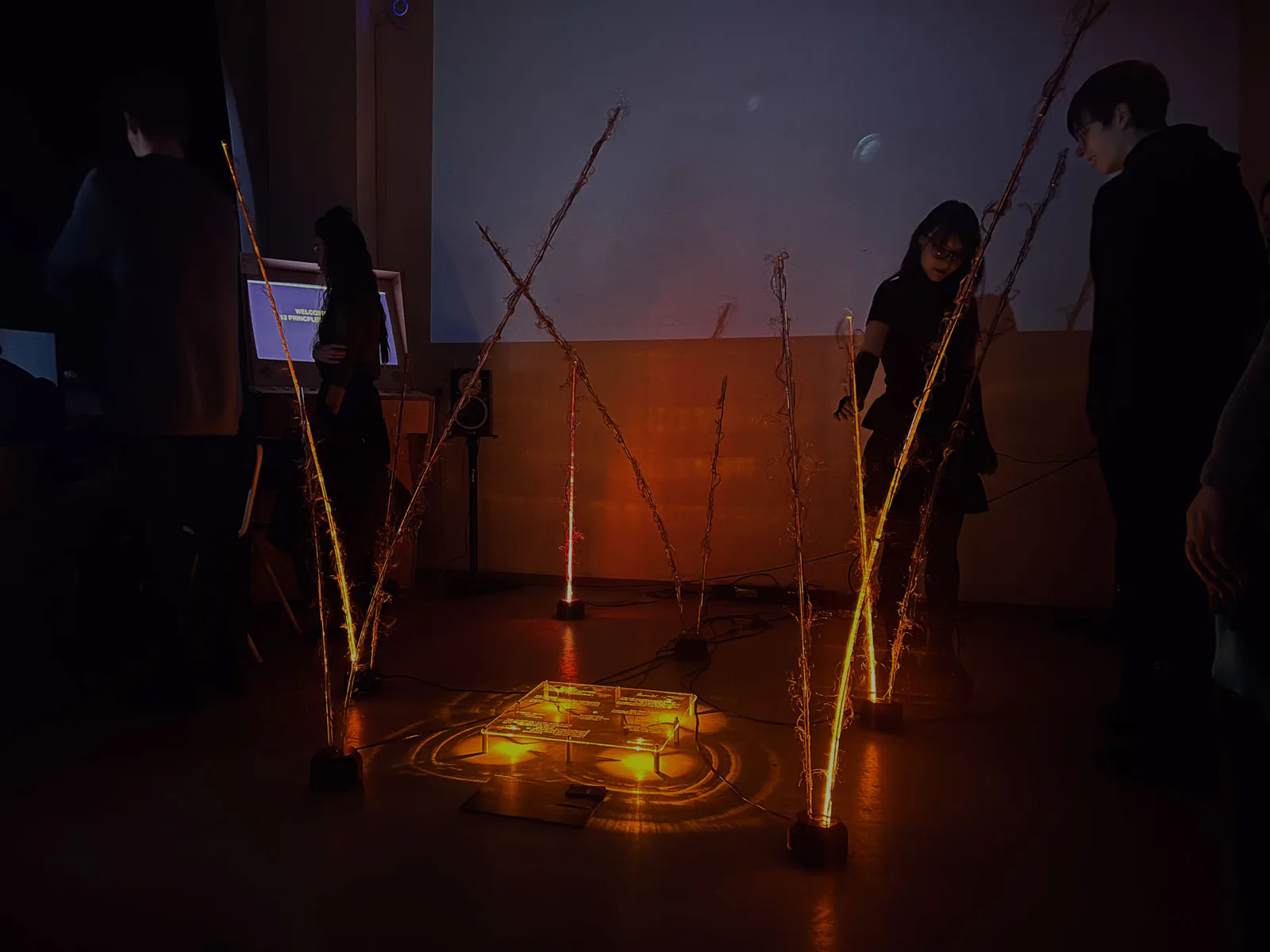 Synapse interactive installation by Antonín Kindl, Bratislava 2023
