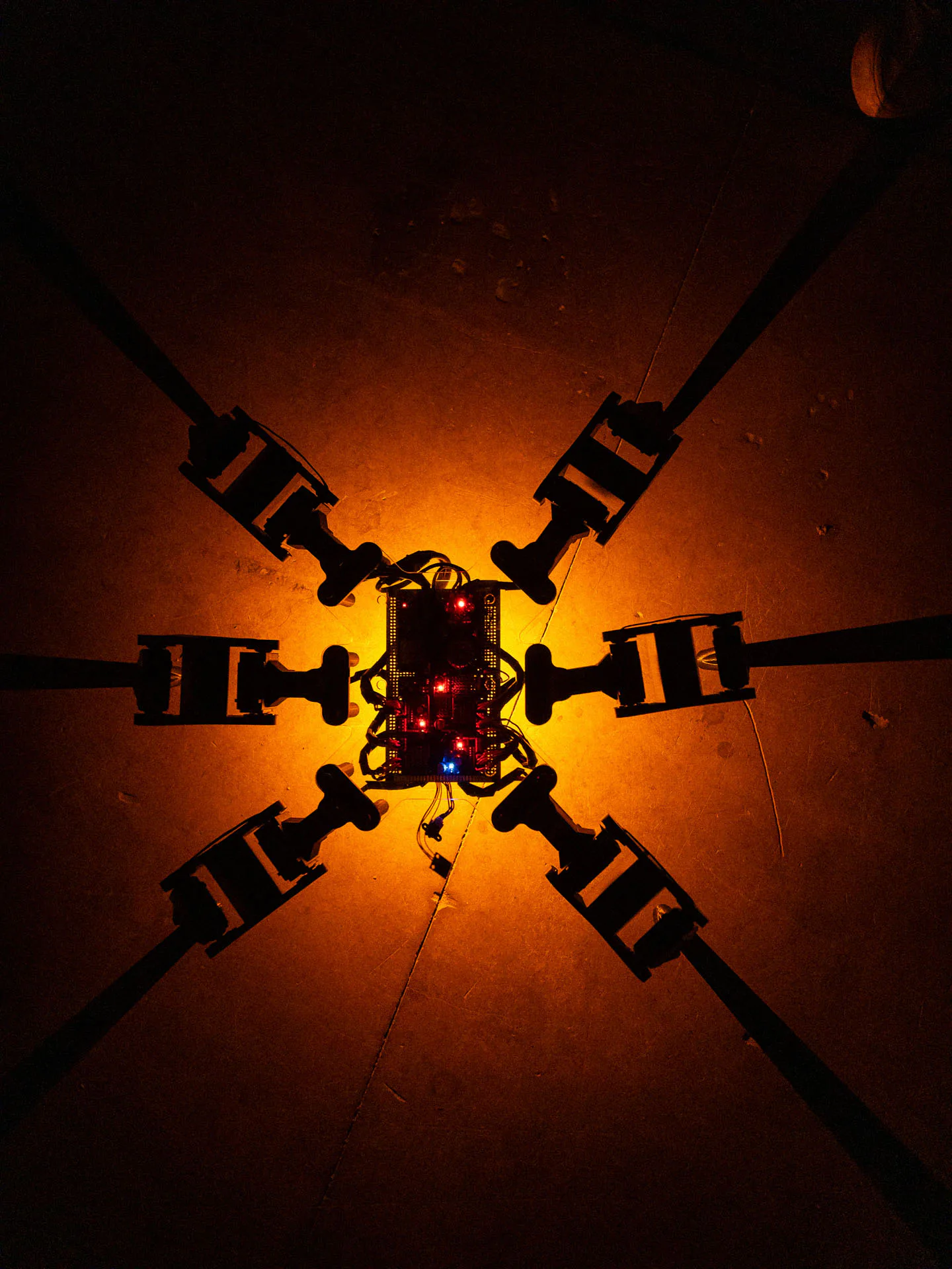 System: The Ascent of a New Kind by Antonín Kindl, electronic organisms installation, VŠVU MediaLab 2025