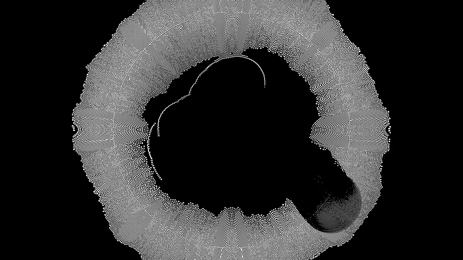 OKO generative projection visual, Signal Festival 2025