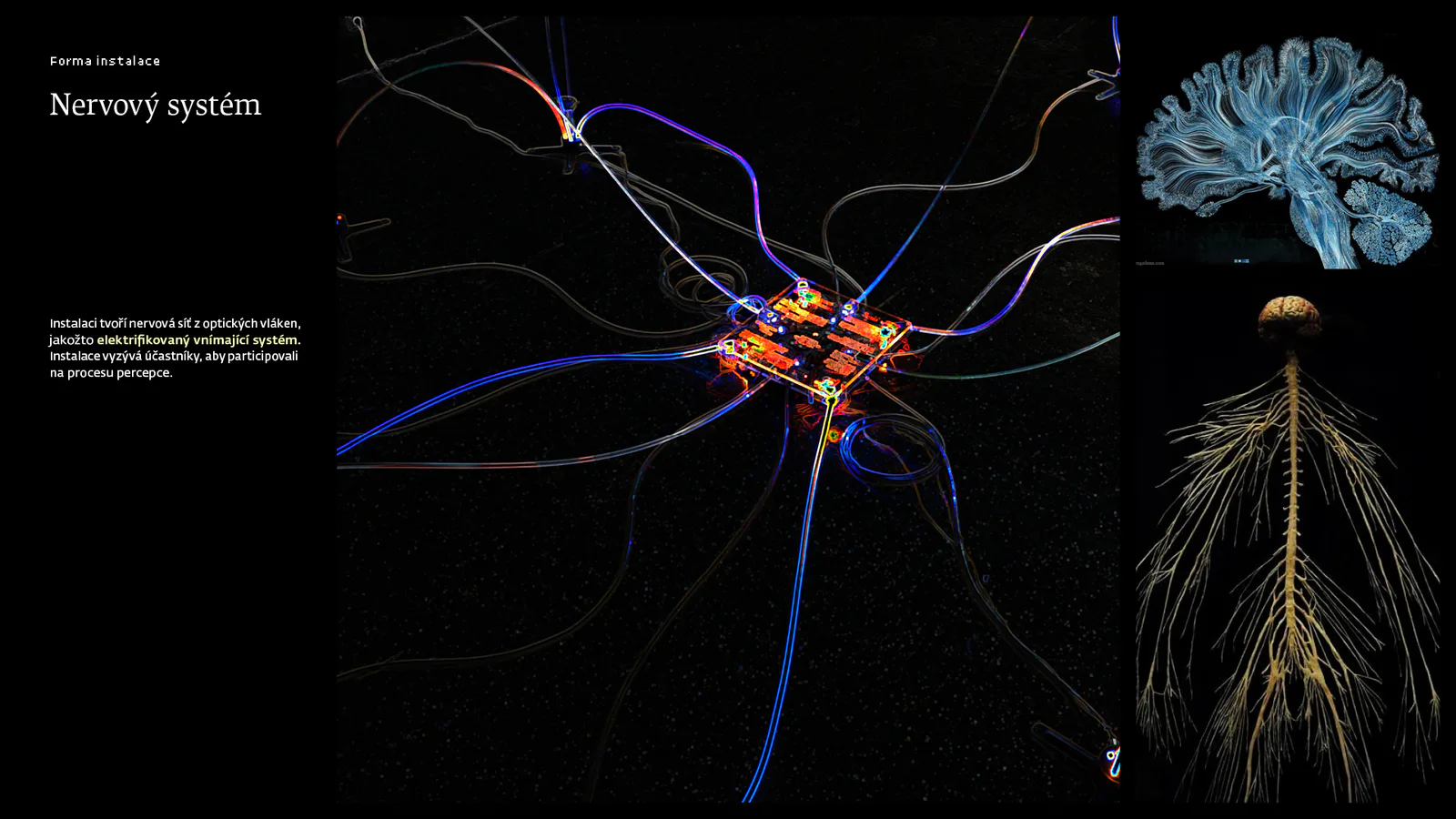 Receptor process and concept by Antonín Kindl