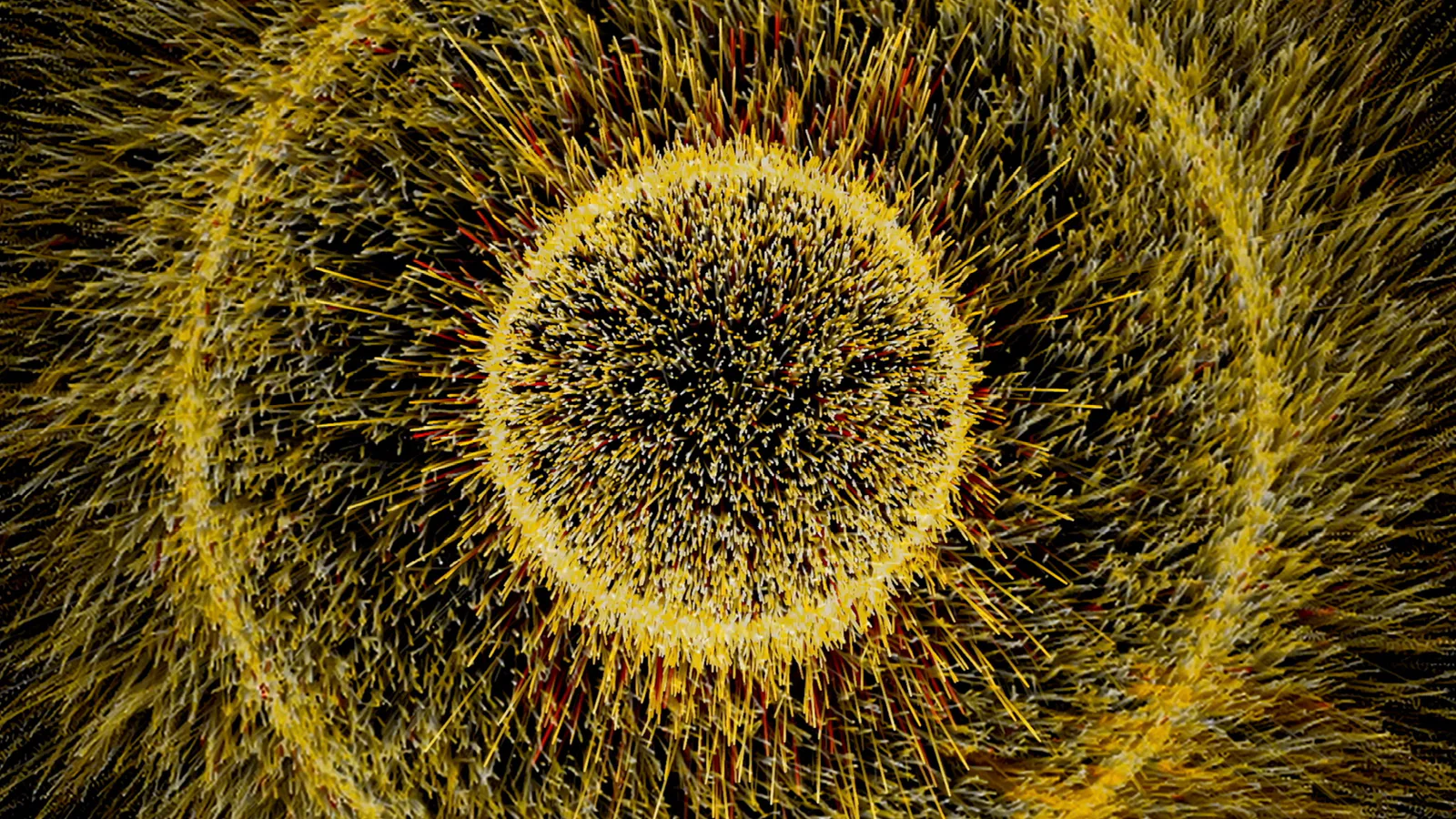 CyklusSvetla-4.jpg