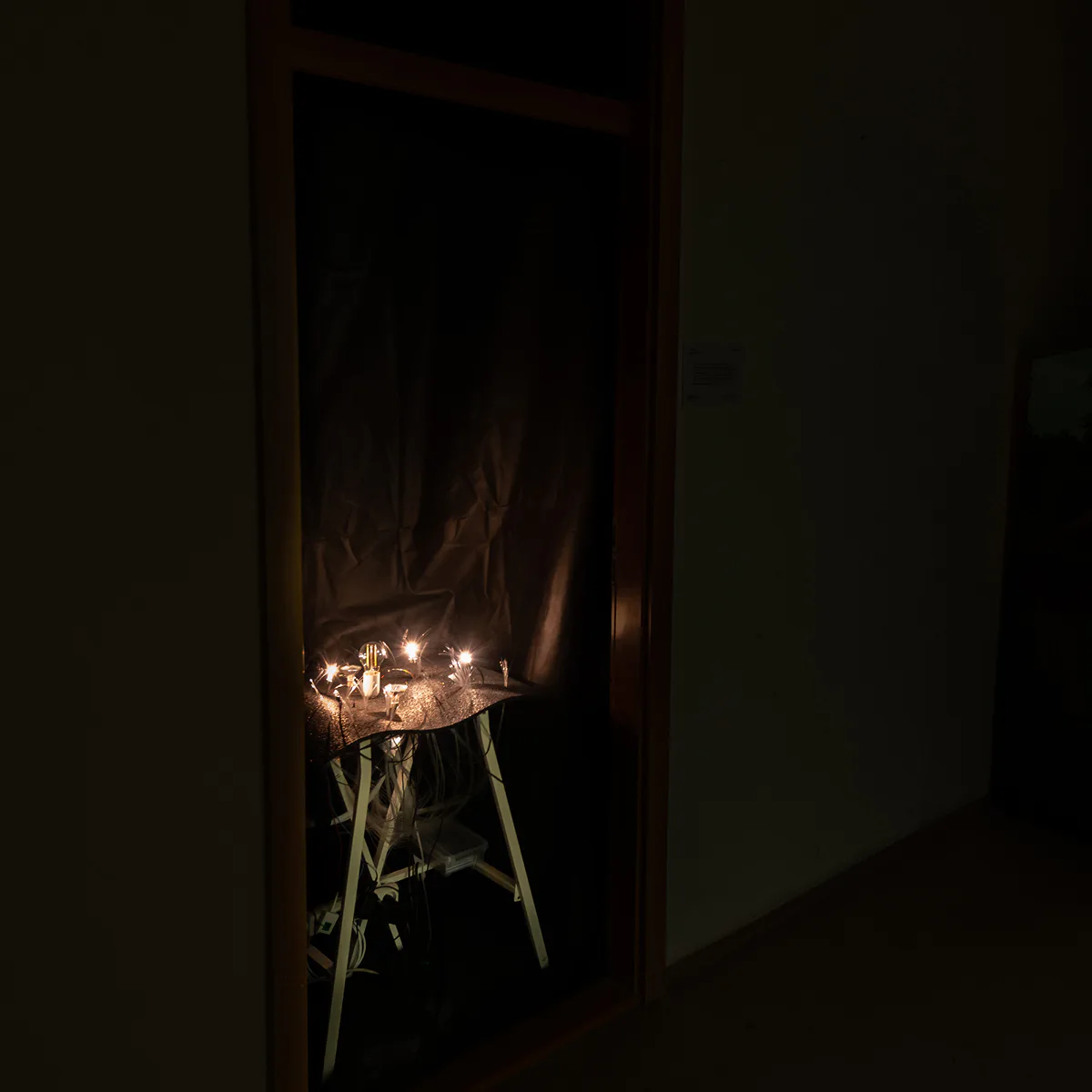 Semiophora-2.jpg