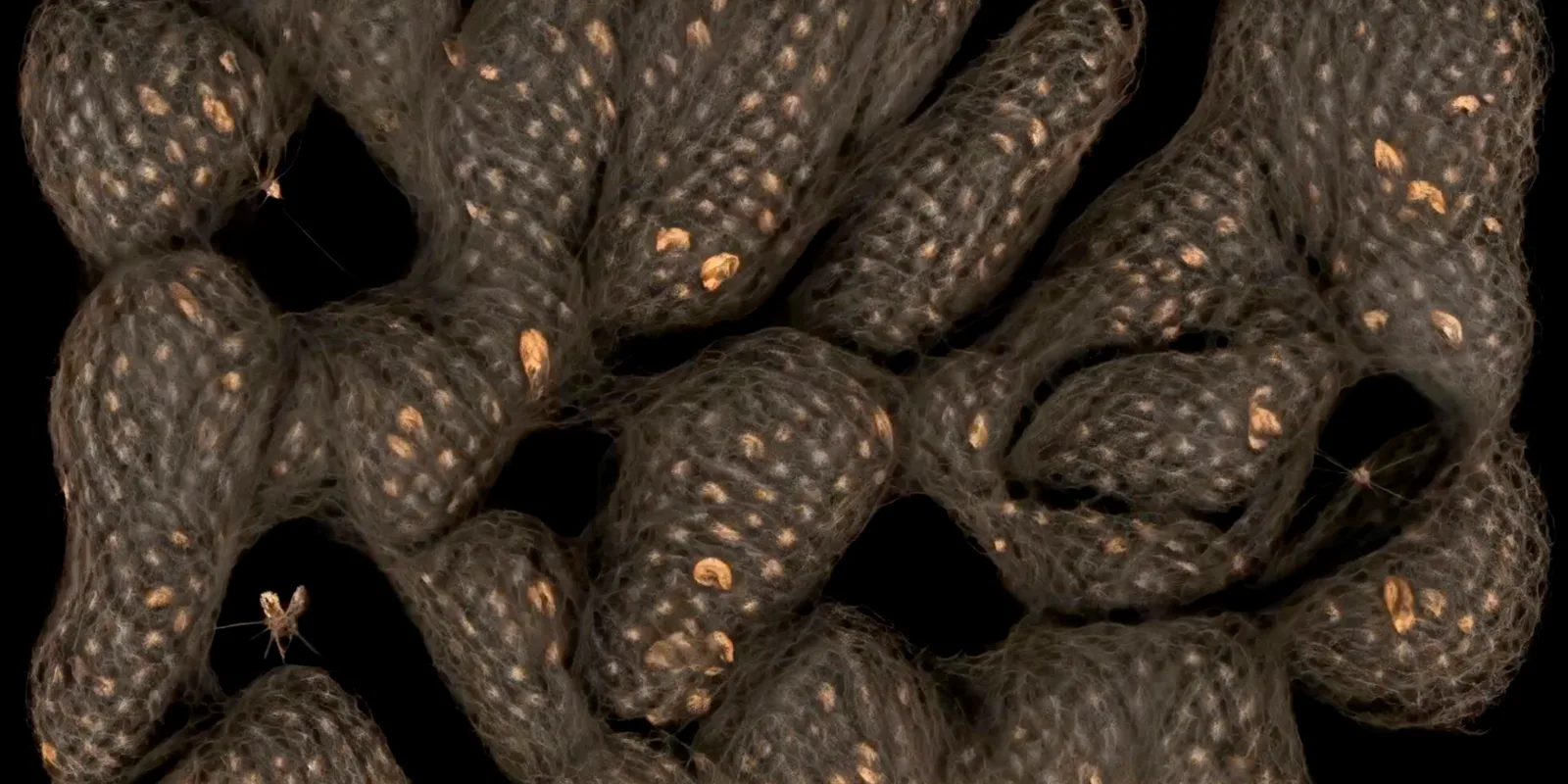 Chaos as seen by a machine, generative visual by Antonín Kindl 2025
