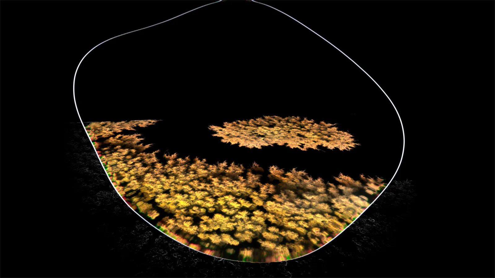 OKO generative projection visual, Signal Festival 2025