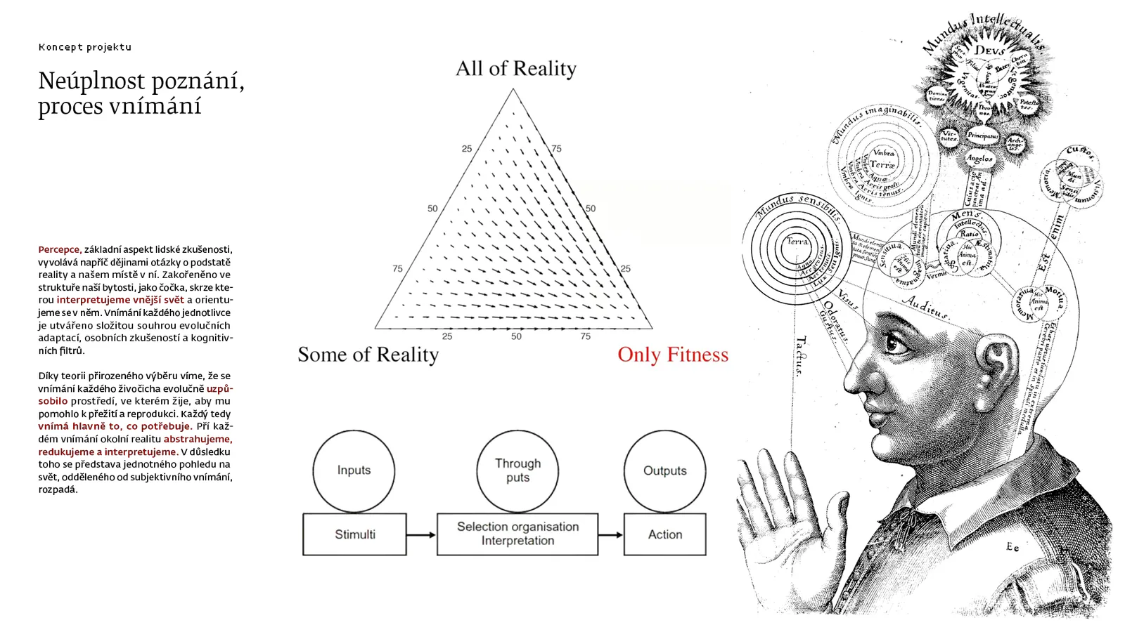 Receptor process and concept by Antonín Kindl