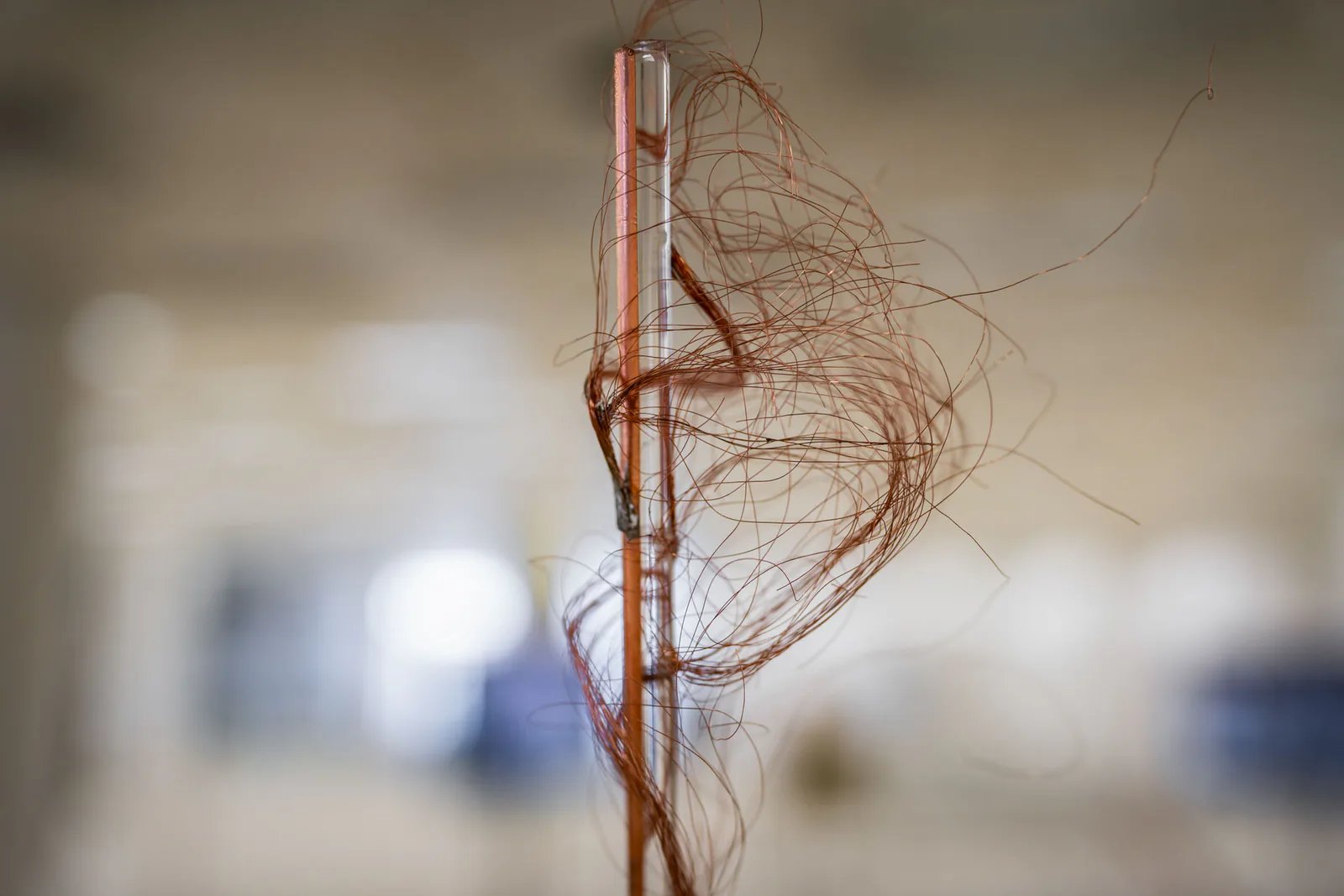 Synapse interactive installation by Antonín Kindl, Bratislava 2023