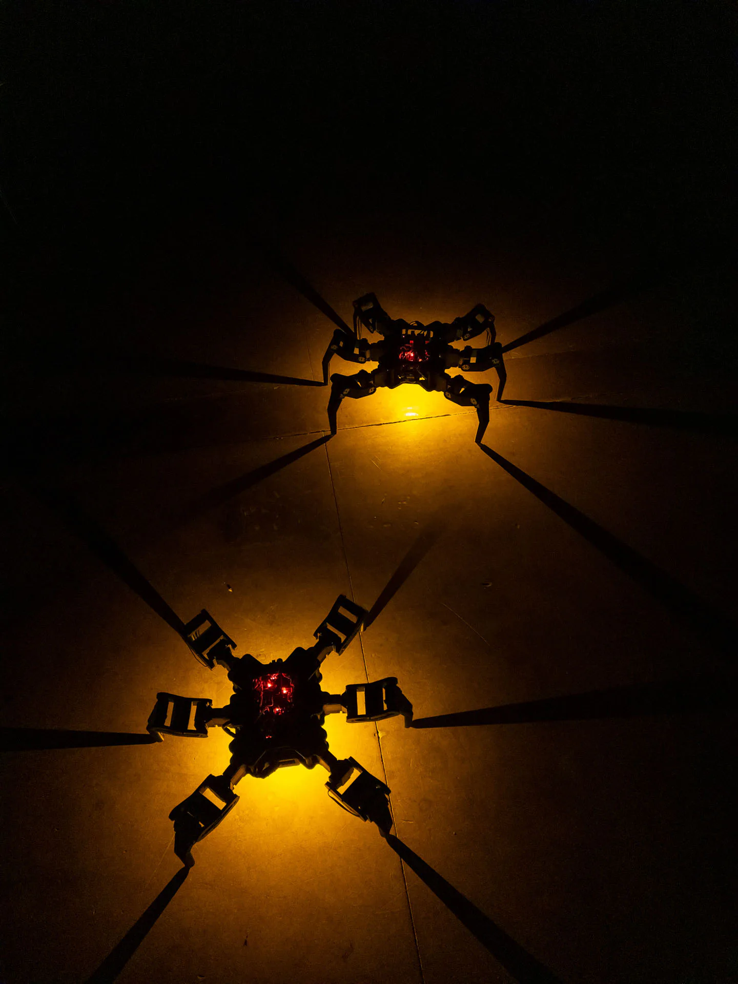 System: The Ascent of a New Kind by Antonín Kindl, electronic organisms installation, VŠVU MediaLab 2025
