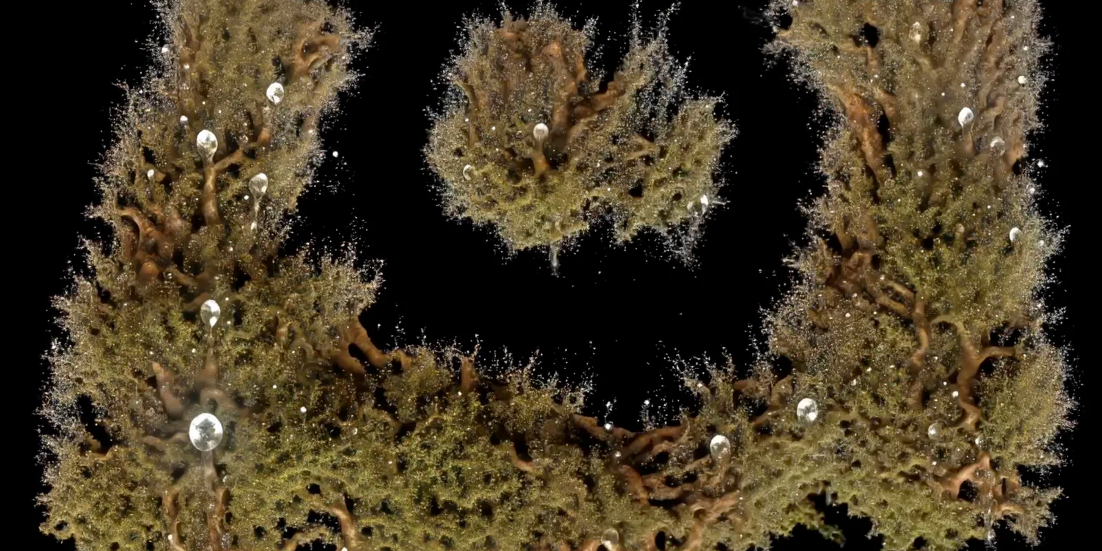 Chaos as seen by a machine, generative visual by Antonín Kindl 2025