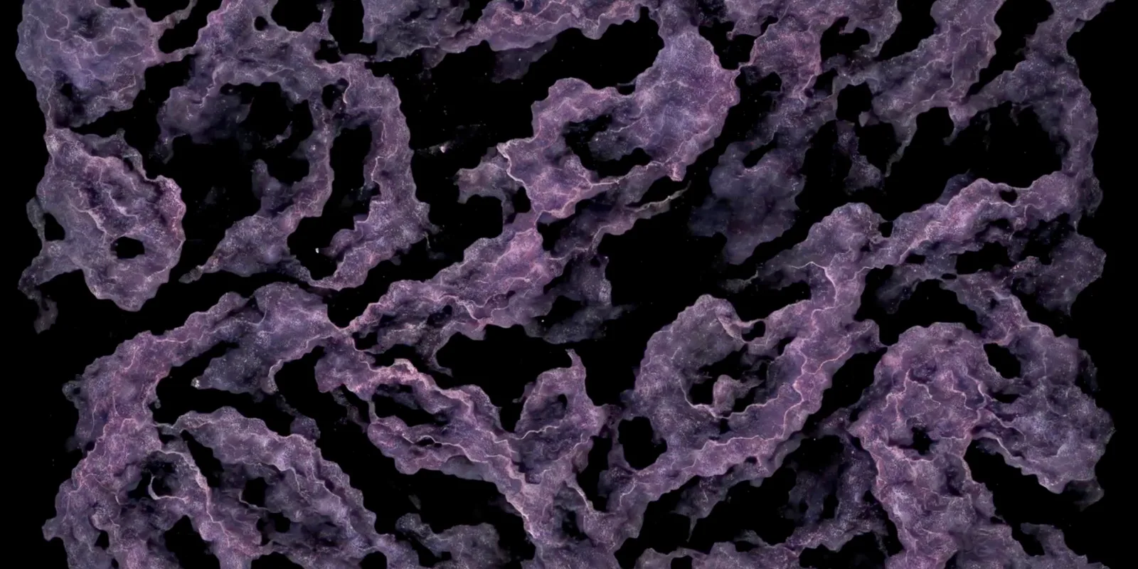 Chaos as seen by a machine, generative visual by Antonín Kindl 2025