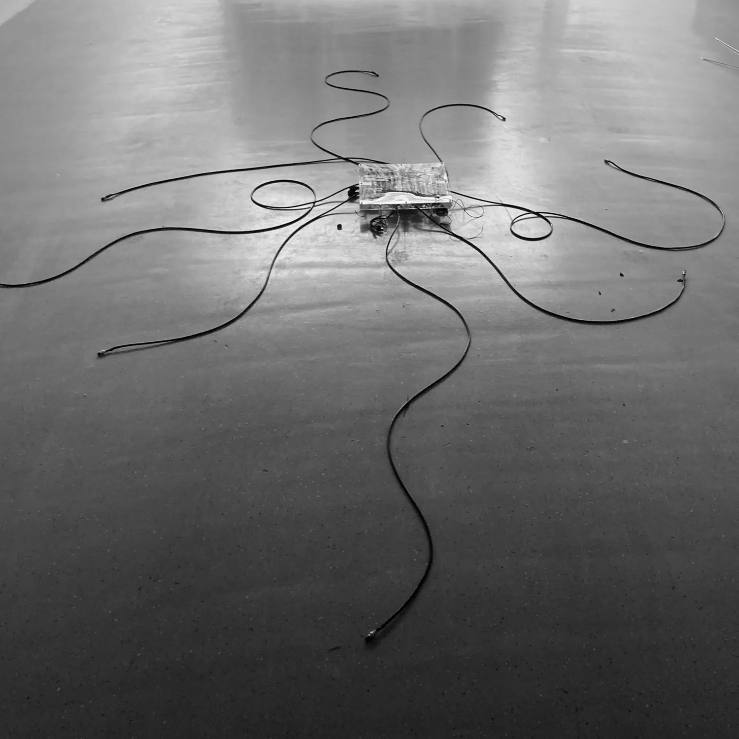 Receptor interactive installation with optical fibres and sensors