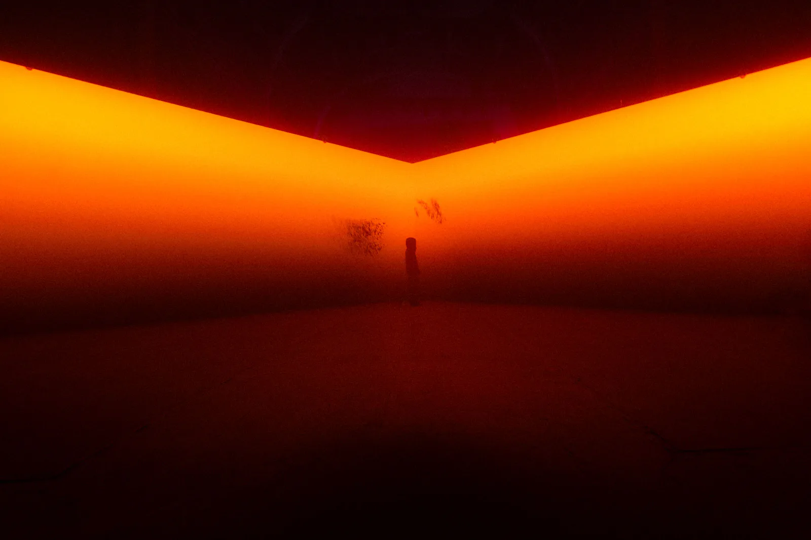 Exhibizz interactive installation, Bratislava 2025, photo Daniel Gavenda