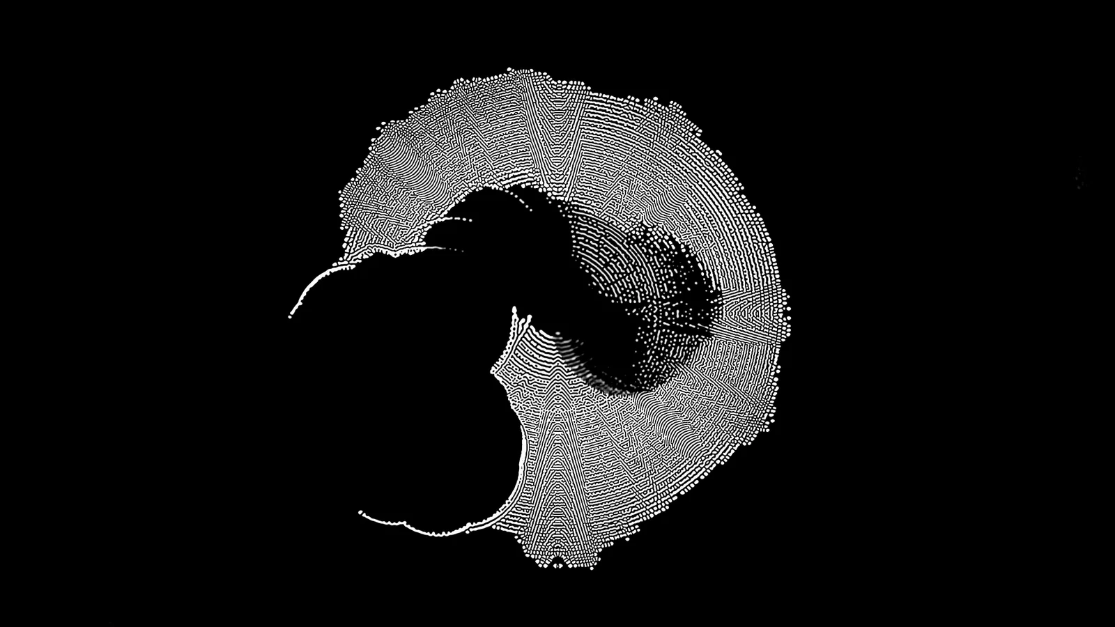 OKO generative projection visual, Signal Festival 2025