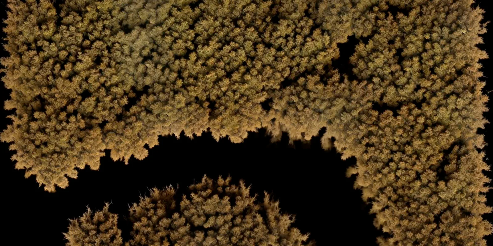 Chaos as seen by a machine, generative visual by Antonín Kindl 2025