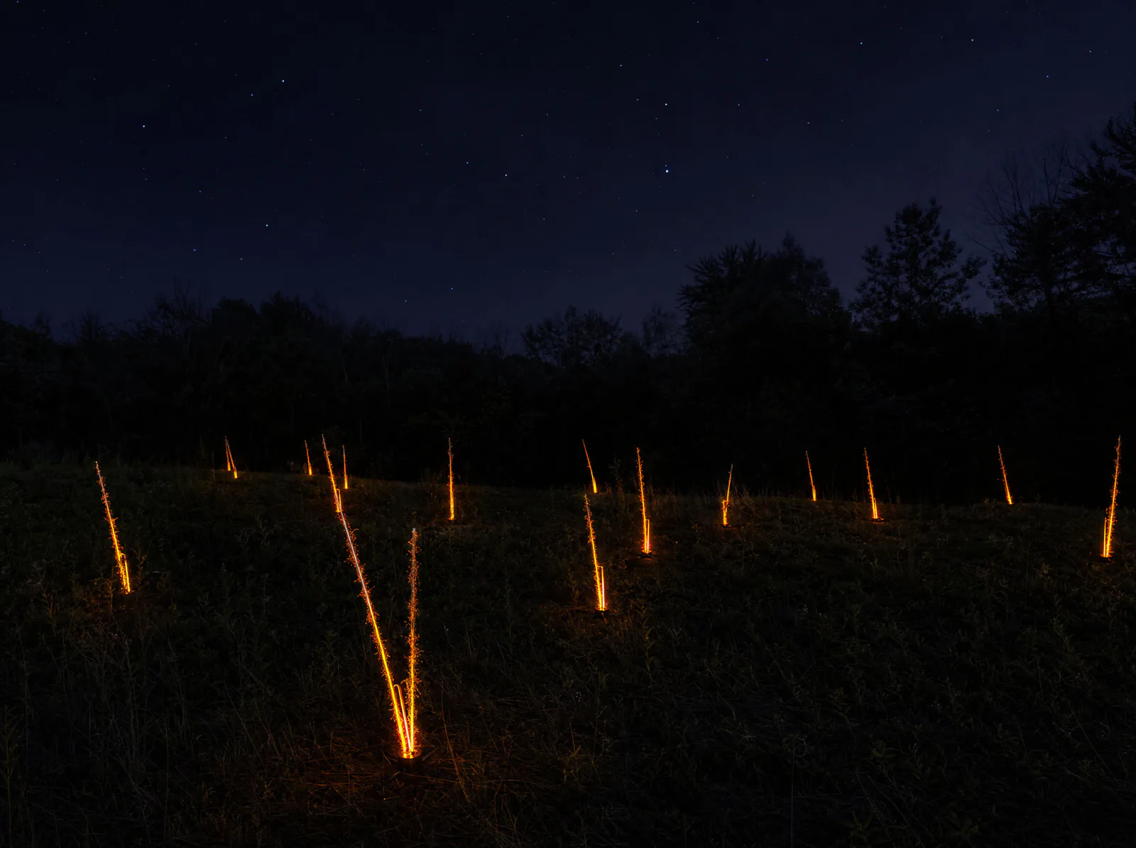 antennae-field.jpg