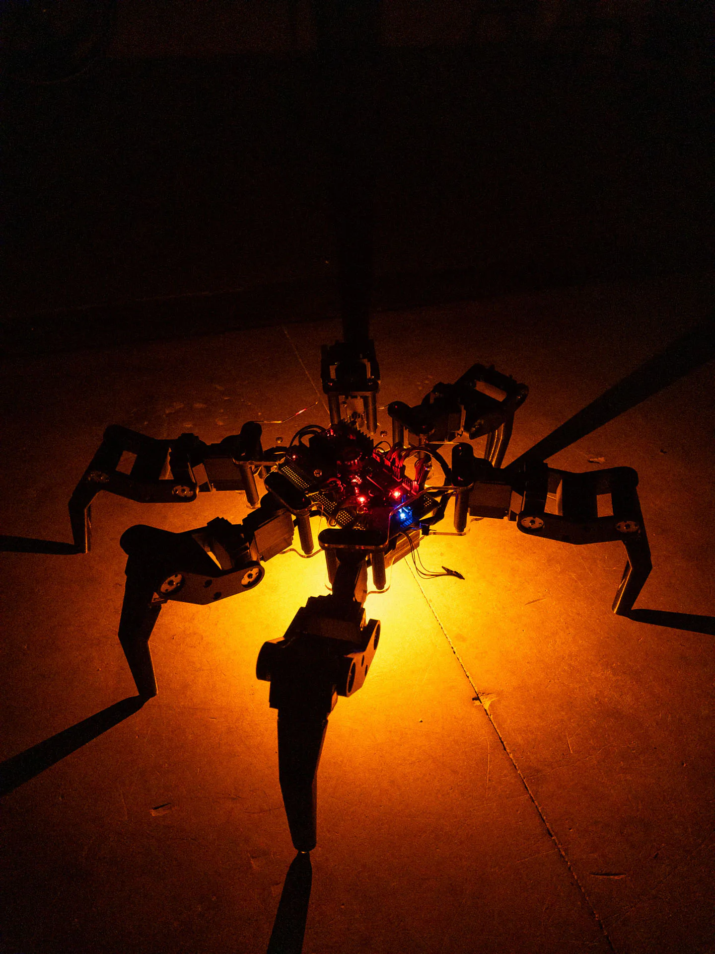 System: The Ascent of a New Kind by Antonín Kindl, electronic organisms installation, VŠVU MediaLab 2025