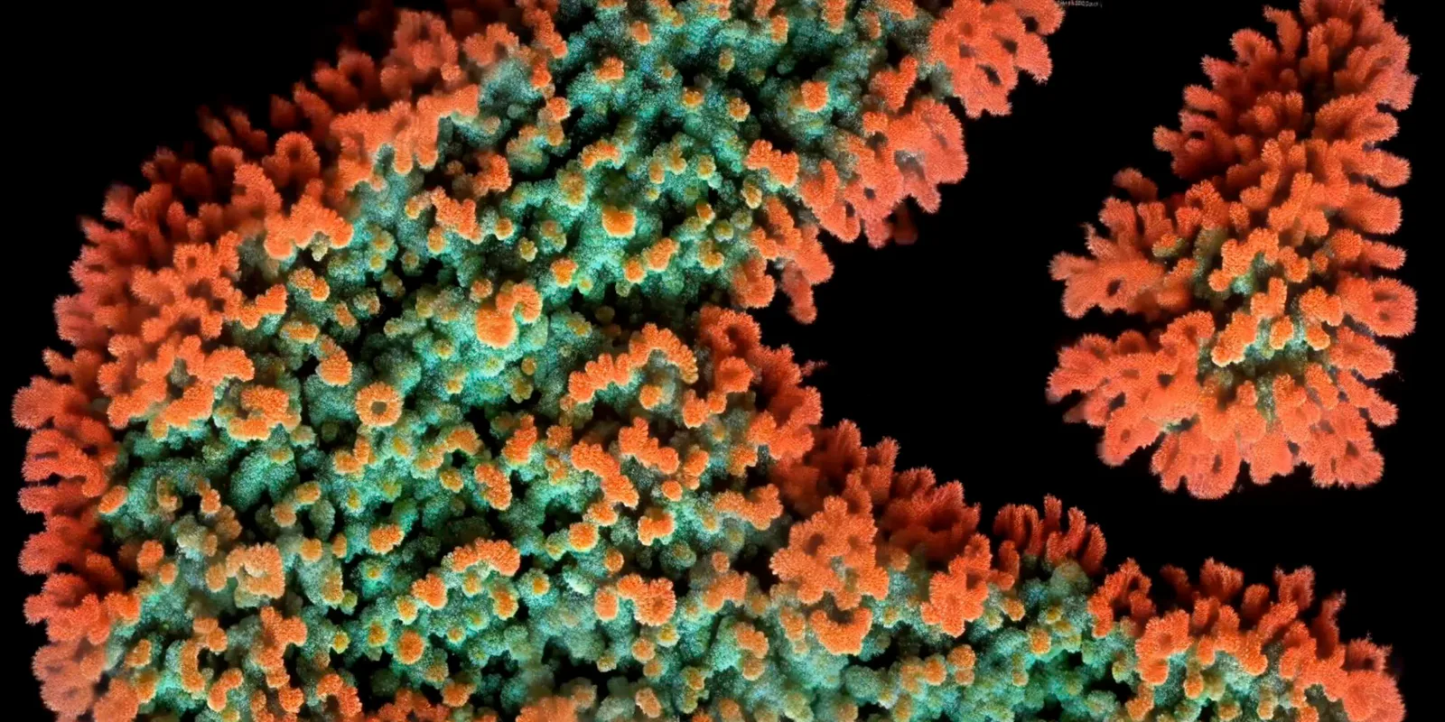 Chaos as seen by a machine, generative visual by Antonín Kindl 2025